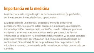 Importancia en la medicina
Las infecciones de origen fúngico se denominan micosis (superﬁciales,
cutáneas, subcutáneas, sistémicas, oportunistas).
La adquisición de una micosis, depende a menudo de factores
predisponentes, tales como edad, ocupación, embarazo, quemaduras,
inmunodepresión, quimioterapia, radiación, uso de catéteres, procesos
malignos o enfermedades metabólicas en las personas. Las formas
infectantes se adquieren habitualmente del ambiente, ya sea por contacto
directo (dermatoﬁtos) por inhalación (p. Ej: Coccidioides) o lesiones de
continuidad (Sporothrix). Otras, se pueden contraer o provienen de la
microbiota normal, como sucede en la micosis oportunista ocasionada por
Candida.
 