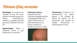 Pitiriasis (tiña) versicolor
Morfología: en muestras de
raspado de piel, M. furfur
aparece formando grupos de
células levaduriformes
esféricas u ovaladas de pared
gruesa y un diámetro de 3 y 8
µm.
Epidemiología: Afecta a
individuos sanos y cuya
distribución es universal
Síndromes clínicos:
pequeñas lesiones
maculares hipopigmentadas
o hiperpigmentadas. Con
mayor frecuencia en la
parte alta del torso, los
brazos, el tórax, los
hombros, la cara y el cuello.
Tratamiento: Consiste en la
administración de azoles
tópicos o de champú de
sulfuro de selenio. En las
infecciones más amplias se
emplea ketoconazol o
itraconazol por vía oral.
 