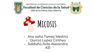 Micosis
- Ana sofia Tamez Medina
- Quiroz Lopez Cinthya
- Saldaña Avila Alexandra
431
 