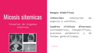 Micosis sitemicas
invasion de órganos
internos
Hongos dimórficos
infección: inhalación de
esporas o conidios.
Cuadros clínicos diversos:
asintomáticos, inespecíficos,
procesos pulmonares y de
formas generalizadas.
 