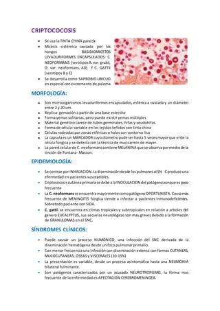 CRIPTOCOCOSIS
 Se usa la TINTA CHINA para dx
 Micosis sistémica causada por los
hongos BASIDIOMICETOS
LEVADURIFORMES ENCAPSULADOS: C.
NEOFORMANS (serotiposA:var.grubii,
D: var. neoformans, AD) Y C. GATTII
(serotipos B y C)
 Se desarrolla como SAPROBIO UBICUO
enespecial conexcremento de paloma
MORFOLOGÍA:
 Son microorganismos levaduriformes encapsulados, esférica a ovalada y un diámetro
entre 2 y 20 um.
 Replica: gemación a partir de una base estrecha
 Forma yemas solitarias, pero puede existir yemas múltiples
 Material genético carece de tubos germinales, hifas y seudohifas.
 Forma de célula: variable en los tejidos teñidos con tinta china
 Células rodeadas por zonas esféricas o halos con contorno liso
 La capsulaes un MARCADOR cuyo diámetropude serhasta 5 vecesmayorque el de la
célula fúngica y se detecta con la técnica de mucicarmin de mayer.
 La paredcelularde C. neoformanscontiene MELANINA que se observapormediode la
tinción de Fontana- Masson.
EPIDEMIOLOGÍA:
 Se contrae por INHALACION.Ladiseminacióndesde lospulmonesal SN Cproduce una
efermedad en pacientes susceptibles.
 Criptococosiscutáneaprimariase debe alaINOCULACION del patógenoaunqueespoco
frecuente
 La C. neoformansse encuentramayormentecomopatógenoOPORTUNISTA.Causamás
frecuente de MENINGITIS fúngica tiende a infectar a pacientes inmunodeficientes.
Sobretodo paciente con SIDA.
 C. gattii se encuentra en climas tropicales y subtropicales en relación a arboles del
genero EUCALYPTUS, sus secuelas neurológicas son mas graves debido a la formación
de GRANULOMAS en el SNC.
SÍNDROMES CLÍNICOS:
 Puede causar un proceso NUMÓNICO, una infección del SNC derivada de la
diseminación hematógena desde un foco pulmonar primario.
 Con menor frecuencia una infeccióncon diseminación extensa con formas CUTANEAS,
MUCOCUTANEAS, OSEAS y VISCERALES (10-15%)
 La presentación es variable, desde un proceso asintomático hasta una NEUMONIA
bilateral fulminante.
 Son patógenos caracterizados por un acusado NEUROTROPISMO, la forma mas
frecuente de la enfermedad es AFECTACION CEREBROMENINGEA.
 