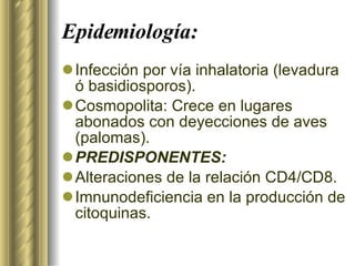 Epidemiología: Infección por vía inhalatoria (levadura ó basidiosporos). Cosmopolita: Crece en lugares abonados con deyecciones de aves (palomas). PREDISPONENTES: Alteraciones de la relación CD4/CD8. Imnunodeficiencia en la producción de citoquinas. 