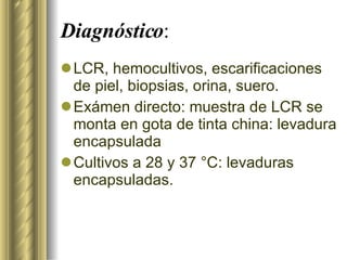 Diagnóstico : LCR, hemocultivos, escarificaciones de piel, biopsias, orina, suero. Exámen directo: muestra de LCR se  monta en gota de tinta china: levadura encapsulada Cultivos a 28 y 37 °C: levaduras encapsuladas. 