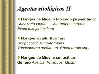 Agentes etiológicos II : Hongos de Micelio tabicado pigmentado: Curvularia lunata  Alternaria alternata  Exophiala jeanselmei Hongos levaduriformes: Crytpoccoccus neoformans Trichosporon cutáneum  Rhodotórula spp . Hongos de Micelio cenocítico Género  Absidia, Rhizopus, Mucor 