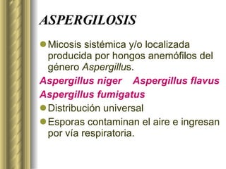 ASPERGILOSIS Micosis sistémica y/o localizada producida por hongos anemófilos del género  Aspergillu s. Aspergillus niger  Aspergillus flavus Aspergillus fumigatus Distribución universal Esporas contaminan el aire e ingresan por vía respiratoria. 