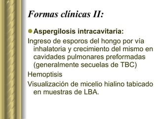 Formas clínicas II: Aspergilosis intracavitaria: Ingreso de esporos del hongo por vía inhalatoria y crecimiento del mismo en cavidades pulmonares preformadas (generalmente secuelas de TBC) Hemoptisis  Visualización de micelio hialino tabicado en muestras de LBA. 