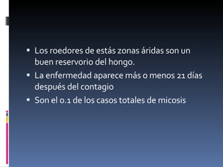 Los roedores de estás zonas áridas son un buen reservorio del hongo. La enfermedad aparece más o menos 21 días después del contagio Son el o.1 de los casos totales de micosis  