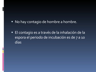 No hay contagio de hombre a hombre. El contagio es a través de la inhalación de la espora el periodo de incubación es de 7 a 10 días 