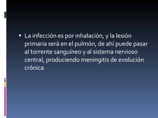 La infección es por inhalación, y la lesión primaria será en el pulmón, de ahí puede pasar al torrente sanguíneo y al sistema nervioso central, produciendo meningitis de evolución crónica 