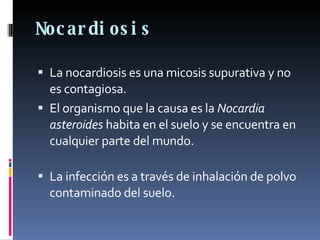 Nocardiosis La nocardiosis es una micosis supurativa y no es contagiosa.  El organismo que la causa es la  Nocardia asteroides  habita en el suelo y se encuentra en cualquier parte del mundo.  La infección es a través de inhalación de polvo contaminado del suelo. 