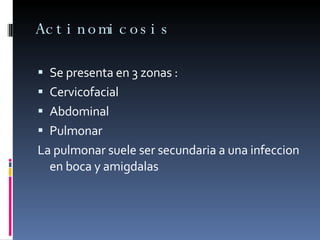 Actinomicosis  Se presenta en 3 zonas : Cervicofacial  Abdominal  Pulmonar La pulmonar suele ser secundaria a una infeccion en boca y amigdalas  