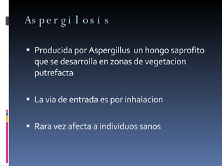 Aspergilosis  Producida por Aspergillus  un hongo saprofito que se desarrolla en zonas de vegetacion putrefacta  La via de entrada es por inhalacion  Rara vez afecta a individuos sanos 