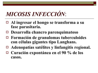 MICOSIS INFECCIÓN : Al ingresar el hongo se transforma a su fase parasitaria. Desarrolla chancro parenquimatoso Formación de granulomas tuberculoides con células gigantes tipo Langhans. Adenopatías satélites y linfangitis regional. Curación expontánea en el 90 % de los casos. 