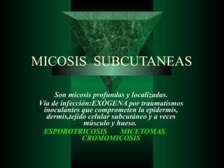 MICOSIS  SUBCUTANEAS Son micosis profundas y localizadas. Vía de infección:EXÓGENA por traumatismos inoculantes que comprometen la epidermis, dermis,tejido celular subcutáneo y a veces músculo y hueso.  ESPOROTRICOSIS  MICETOMAS  CROMOMICOSIS 