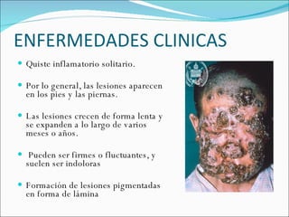 ENFERMEDADES CLINICAS  Quiste inflamatorio solitario.  Por lo general, las lesiones aparecen en los pies y las piernas. Las lesiones crecen de forma lenta y se expanden a lo largo de varios meses o años. Pueden ser firmes o fluctuantes, y suelen ser indoloras Formación de lesiones pigmentadas en forma de lámina 