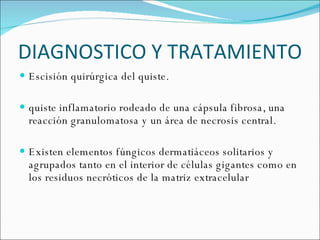 DIAGNOSTICO Y TRATAMIENTO  Escisión quirúrgica del quiste.  quiste inflamatorio rodeado de una cápsula fibrosa, una reacción granulomatosa y un área de necrosis central. Existen elementos fúngicos dermatiáceos solitarios y agrupados tanto en el interior de células gigantes como en los residuos necróticos de la matriz extracelular 