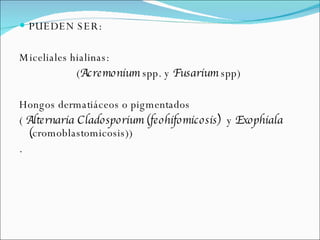 PUEDEN SER:  Miceliales hialinas:  ( Acremonium  spp. y  Fusarium  spp)  Hongos dermatiáceos o pigmentados (  Alternaria Cladosporium (feohifomicosis)  y  Exophiala ( cromoblastomicosis)) .  