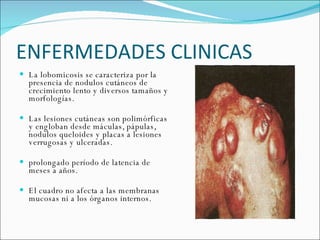 ENFERMEDADES CLINICAS  La lobomicosis se caracteriza por la presencia de nodulos cutáneos de crecimiento lento y diversos tamaños y morfologías.  Las lesiones cutáneas son polimórficas y engloban desde máculas, pápulas, nodulos queloides y placas a lesiones verrugosas y ulceradas.  prolongado período de latencia de meses a años.  El cuadro no afecta a las membranas mucosas ni a los órganos internos.  