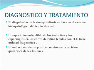 DIAGNOSTICO Y TRATAMIENTO  El diagnóstico de la rinosporidiosis se basa en el examen histopatológico del tejido afectado.  El aspecto inconfundible de los trofocitos y los esporangios en los cortes de rutina teñidos con H-E tiene utilidad diagnóstica .  El único tratamiento posible consiste en la escisión quirúrgica de las lesiones. 