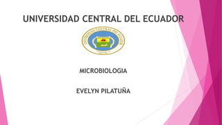 UNIVERSIDAD CENTRAL DEL ECUADOR
MICROBIOLOGIA
EVELYN PILATUÑA
 