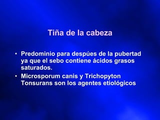 Tiña de la cabeza Predominio para despúes de la pubertad ya que el sebo contiene ácidos grasos saturados. Microsporum canis y Trichopyton Tonsurans son los agentes etiológicos  