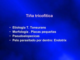 Tiña tricofítica Etiología T. Tonsurans Morfología . Placas pequeñas Pseudoalopecicas Pelo parasitado por dentro: Endotrix 