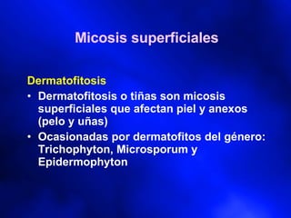 Micosis superficiales ,[object Object],[object Object],[object Object]