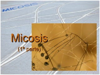 MicosisMicosis
(1ª parte)(1ª parte)
 