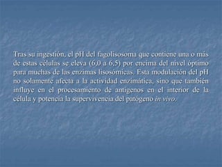 Tras su ingestión, el pH del fagolisosoma que contiene una o más
de estas células se eleva (6,0 a 6,5) por encima del nivel óptimo
para muchas de las enzimas lisosómicas. Esta modulación del pH
no solamente afecta a la actividad enzimática, sino que también
influye en el procesamiento de antígenos en el interior de la
célula y potencia la supervivencia del patógeno in vivo.
 