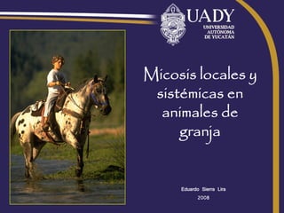 Micosis locales y
 sistémicas en
  animales de
     granja


     Eduardo Sierra Lira
           2008
 