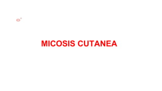 MICOSIS CUTANEA
 