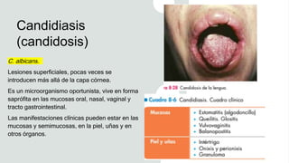 Candidiasis
(candidosis)
C. albicans.
Lesiones superficiales, pocas veces se
introducen más allá de la capa córnea.
Es un microorganismo oportunista, vive en forma
saprófita en las mucosas oral, nasal, vaginal y
tracto gastrointestinal.
Las manifestaciones clínicas pueden estar en las
mucosas y semimucosas, en la piel, uñas y en
otros órganos.
 
