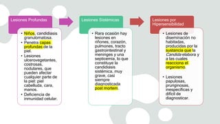 Lesiones Profundas
• Niños, candidiasis
granulomatosa.
• Penetra capas
profundas de la
piel.
• Lesiones
ulcerovegetantes,
costrosas,
nodulares, que
pueden afectar
cualquier parte de
la piel: piel
cabelluda, cara,
manos.
• Deficiencia de
inmunidad celular.
Lesiones Sistémicas
• Rara ocasión hay
lesiones en
riñones, corazón,
pulmones, tracto
gastrointestinal y
meninges y una
septicemia, lo que
constituye la
candidiasis
sistémica, muy
grave, casi
siempre
diagnosticada
post mortem.
Lesiones por
Hipersensibilidad
• Lesiones de
diseminación no
habitadas,
producidas por la
sustancia que la
Candida elabora y
a las cuales
reacciona el
organismo.
• Lesiones
papulosas,
pruriginosas,
inespecíficas y
difícil de
diagnosticar.
 