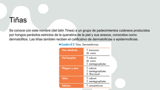 Tiñas
Se conoce con este nombre (del latín Tinea) a un grupo de padecimientos cutáneos producidos
por hongos parásitos estrictos de la queratina de la piel y sus anexos, conocidos como
dermatofitos. Las tiñas también reciben el calificativo de dermatoficias o epidermoficias.
 