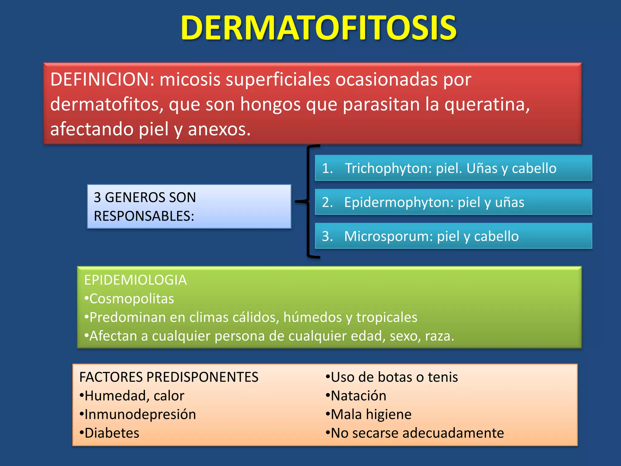Dermatofitosis PPTX Skin And Dermatology Diseases And Conditions
