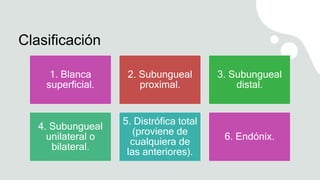 Clasificación
1. Blanca
superficial.
2. Subungueal
proximal.
3. Subungueal
distal.
4. Subungueal
unilateral o
bilateral.
5. Distrófica total
(proviene de
cualquiera de
las anteriores).
6. Endónix.
 