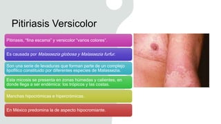 Pitiriasis Versicolor
Pitiriasis, “fina escama” y versicolor “varios colores”.
Es causada por Malassezia globosa y Malassezia furfur.
Son una serie de levaduras que forman parte de un complejo
lipofílico constituido por diferentes especies de Malassezia.
Esta micosis se presenta en zonas húmedas y calientes, en
donde llega a ser endémica: los trópicos y las costas.
Manchas hipocrómicas e hipercrómicas.
En México predomina la de aspecto hipocromiante.
 