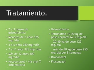 Tratamiento. 
• 2 a 3 meses de 
griseofulvina 
• Menores de 3 años 125 
mgr/día 
• 3 a 6 años 250 mgr/día 
• 7 a 11 años 375 mgr/día 
• Más de 12 años 500 
mgr/día 
• Ketoconazol / vía oral T. 
inflamatoria 
• Griseofulvina 
• Terbinafina 10-20 kg de 
peso corporal 62.5 mg/día 
20-40 kg de peso 125 
mg/día 
más de 40 kg de peso 250 
mg/día por 8 semanas 
• Itraconazol 
• Fluconazol 
 