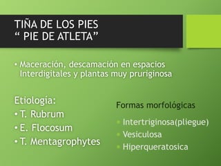 TIÑA DE LOS PIES 
“ PIE DE ATLETA” 
• Maceración, descamación en espacios 
Interdigitales y plantas muy pruriginosa 
Etiología: 
• T. Rubrum 
• E. Flocosum 
• T. Mentagrophytes 
Formas morfológicas 
 Intertriginosa(pliegue) 
 Vesiculosa 
 Hiperqueratosica 
 