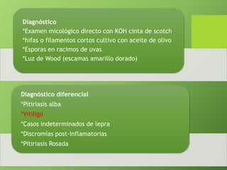 Diagnóstico 
*Examen micológico directo con KOH cinta de scotch 
*hifas o filamentos cortos cultivo con aceite de olivo 
*Esporas en racimos de uvas 
*Luz de Wood (escamas amarillo dorado) 
Diagnóstico diferencial 
*Pitiriasis alba 
*Vitíligo 
*Casos indeterminados de lepra 
*Discromías post-inflamatorias 
*Pitiriasis Rosada 
 