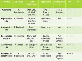 Nombre Etiología Zona 
endémica 
Topografía Profundida 
d 
Dx Tx 
Micetoma N. 
brasilensis 
Mor. Gto. 
Jal. Mich. 
Gro. Ver. 
Pie 
Tronco 
m. Sup 
Piel y 
huesos 
+ + + - 
Esporotrico 
sis 
S. Schenkii DF, Gto. 
Gro. Ver. 
Jal. Mich. 
miembros, 
Cara. 
piel - + - + 
Cromomico 
sis 
F. Pedrosol Zonas 
tropicales. 
Miembros. piel + + + - 
Coccidioido 
micosis 
C. Immitis Norte del 
pais, mich. 
Jal. 
Cuello 
miembros 
Tronco 
Piel 
Huesos 
Ganglios 
+ + + + 
Actinomico 
sis 
A. Israeli En cualquier 
sitio. 
Cervicofacial 
Torax, 
abdomen 
Piel 
Organos 
+ + + - 
Paracoccidi 
oidomicosis 
P. 
brasilensis 
Ver. Qto. 
Gto. Chis. 
Nariz, 
boca,cuello 
Piel 
Ganglios 
Organos 
+ + + - 
 