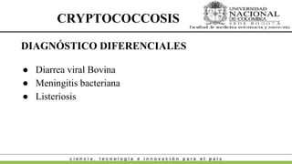 Enfermedades Micoticas en bovinos colombia.pptx