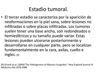 Estadio tumoral.
• El tercer estadio se caracteriza por la aparición de
neoformaciones en la piel sana, sobre lesiones no
infiltradas o sobre placas infiltradas. Los tumores
suelen tener una base ancha, son redondeados o
hemiesféricos y su tamaño puede variar. Estas
lesiones pueden ulcerarse posteriormente y
desarrollarse en cualquier parte, pero se localizan
fundamentalmente en la cara, axilas, cuello e
ingles.(9)
(9) Girardi et al. (2004)”The Pathogenesis of Mycosis Fungoides”. New England Journal of
Medicine 350:1978-1988.
 