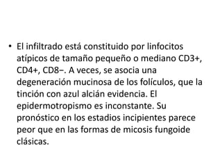 • El infiltrado está constituido por linfocitos
atípicos de tamaño pequeño o mediano CD3+,
CD4+, CD8−. A veces, se asocia una
degeneración mucinosa de los folículos, que la
tinción con azul alcián evidencia. El
epidermotropismo es inconstante. Su
pronóstico en los estadios incipientes parece
peor que en las formas de micosis fungoide
clásicas.
 
