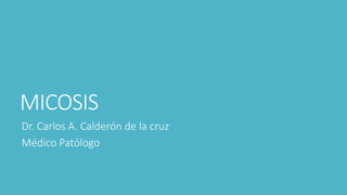 MICOSIS
Dr. Carlos A. Calderón de la cruz
Médico Patólogo
 
