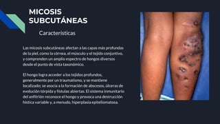 MICOSIS
SUBCUTÁNEAS
Características
Las micosis subcutáneas afectan a las capas más profundas
de la piel, como la córnea, el músculo y el tejido conjuntivo,
y comprenden un amplio espectro de hongos diversos
desde el punto de vista taxonómico.
El hongo logra acceder a los tejidos profundos,
generalmente por un traumatismo, y se mantiene
localizado; se asocia a la formación de abscesos, úlceras de
evolución tórpida y fístulas abiertas. El sistema inmunitario
del anfitrión reconoce el hongo y provoca una destrucción
histica variable y, a menudo, hiperplasia epiteliomatosa.
 