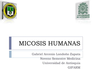 MICOSIS HUMANAS Gabriel Arcenio Londoño Zapata Noveno Semestre Medicina Universidad de Antioquia GIFARM 