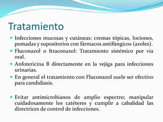 Tratamiento 
 
Infecciones mucosas y cutáneas: cremas tópicas, lociones, pomadas y supositorios con fármacos antifúngicos (azoles). 
 
Fluconazol o Itraconazol: Tratamiento sistémico por vía oral. 
 
Anfotericina B directamente en la vejiga para infecciones urinarias. 
 
En general el tratamiento con Fluconazol suele ser efectivo para candidiasis. 
 
Evitar antimicrobianos de amplio espectro; manipular cuidadosamente los catéteres y cumplir a cabalidad las directrices de control de infecciones.  