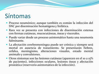 Síntomas 
 
Proceso neumónico; aunque también es común la infección del SNC por diseminación hematógena y linfática. 
 
Rara vez se presenta con infecciones de diseminación extensa con formas cutáneas, mucocutáneas, óseas y viscerales. 
 
Puede variar desde un proceso asintomático hasta una neumonía fulminante. 
 
La afectación cerebromeníngea puede ser crónica y siempre será mortal en ausencia de tratamiento. Se presentarán fiebres, cefalea, meningismo, alteraciones visuales, estado mental anómalo y convulsiones. 
 
Otros síntomas son las lesiones cutáneas (aparecen en el 10 a 15% de pacientes), infecciones oculares, lesiones óseas y afectación prostática (reservorio asintomático de la infección).  