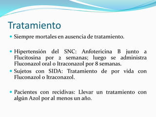 Tratamiento 
 
Siempre mortales en ausencia de tratamiento. 
Hipertensión del SNC: Anfotericina B junto a Flucitosina por 2 semanas; luego se administra Fluconazol oral o Itraconazol por 8 semanas. 
Sujetos con SIDA: Tratamiento de por vida con Fluconazol o Itraconazol. 
Pacientes con recidivas: Llevar un tratamiento con algún Azol por al menos un año.  